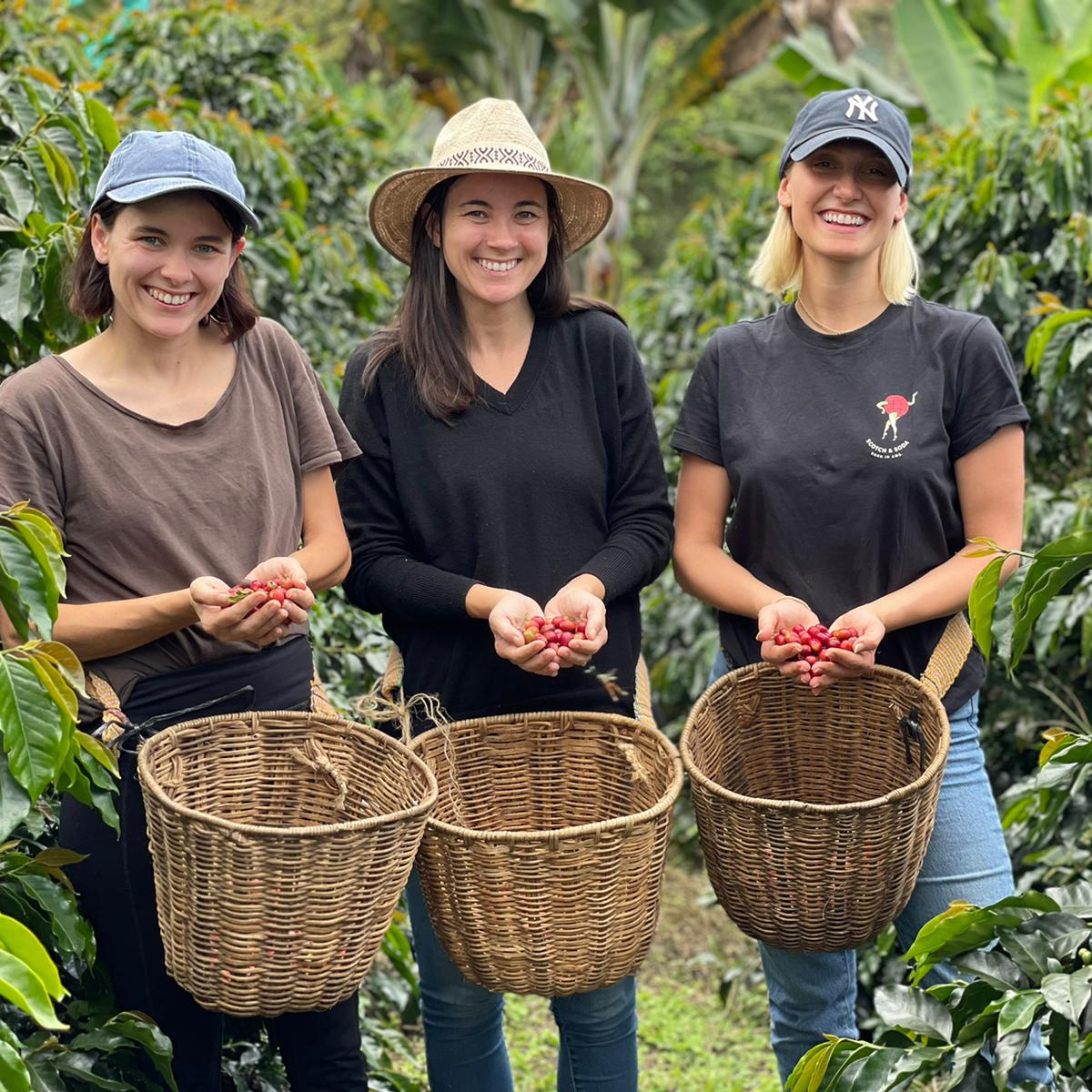 Coffee Farm Tour from Medellín | Coffee Tasting & Traditional Lunch