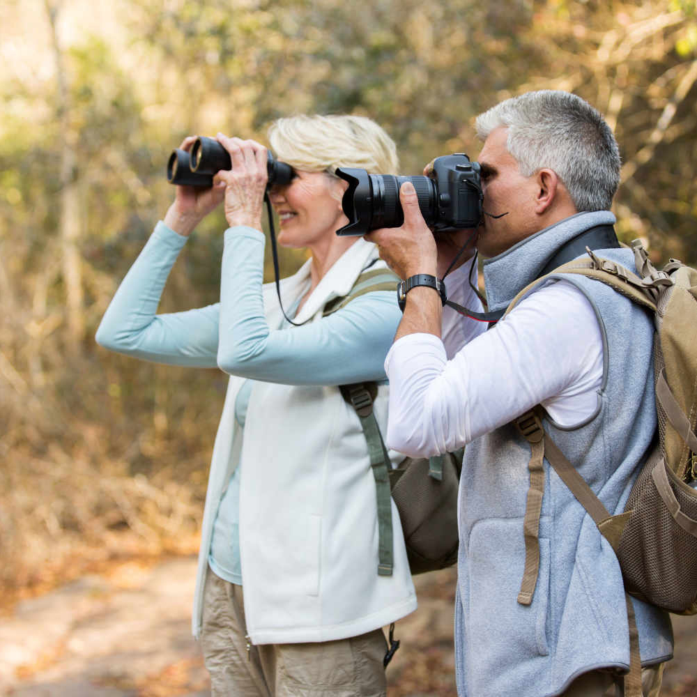 Birdwatching Tour Colombia