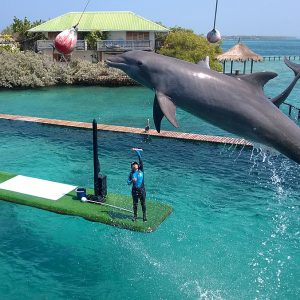 Rosario Islands Tour from Cartagena