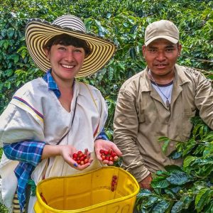3824a8fd-b062-4323-9d2b-812a00a95150_cali-coffee-tour-discover-the-secrets-of-100-colombian-coffee-xlarge