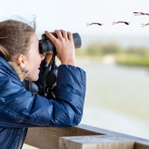 Birdwatching Tour Colombia