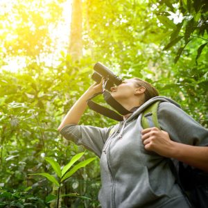 Birdwatching Tour Colombia