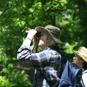 Birdwatching Tour Colombia