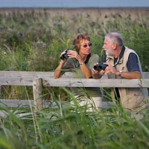 Birdwatching Tour Colombia