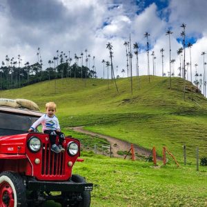 Coffee Farm Tour from Medellín | Coffee Tasting & Traditional Lunch