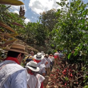 Coffee Farm Tour from Medellín | Coffee Tasting & Traditional Lunch
