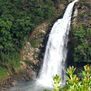Salto del Buey Waterfall Adventure | Zip Line & Via Ferrata near Medellín