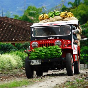 Coffee Farm Tour from Medellín | Coffee Tasting & Traditional Lunch