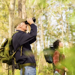 Birdwatching Tour Colombia