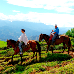Horseback Riding Tour near Medellín
