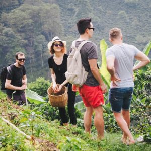 Coffee Farm Tour from Medellín | Coffee Tasting & Traditional Lunch