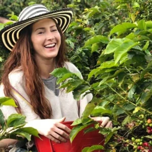 Coffee Farm Tour from Medellín | Coffee Tasting & Traditional Lunch