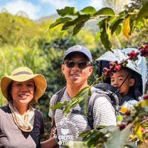 Coffee Farm Tour from Medellín | Coffee Tasting & Traditional Lunch